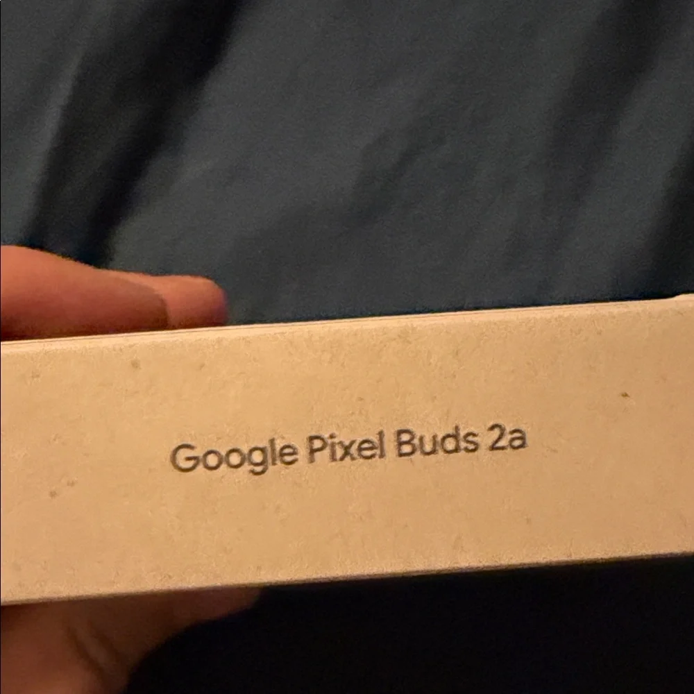 Google Earbuds in Charcoal Gray